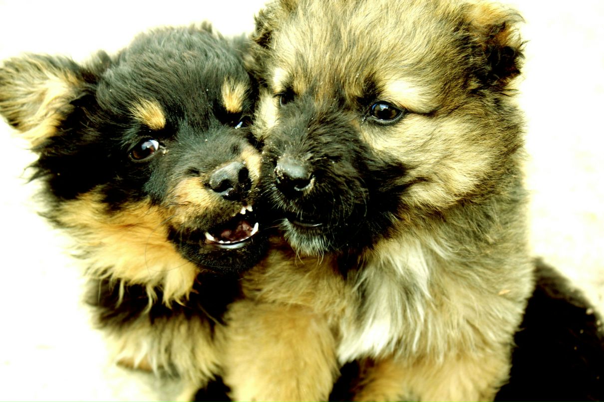 Татьяна Липунова | Тула (поселок)