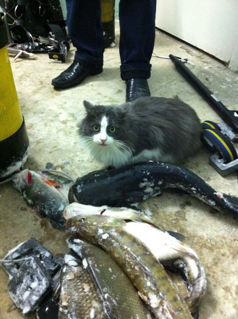 Сергей Беляков | Самара