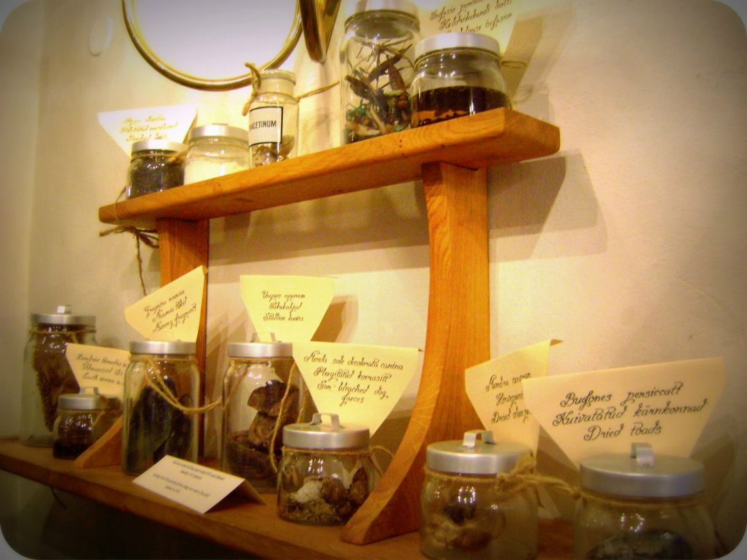 Ksenya Veter | Москва