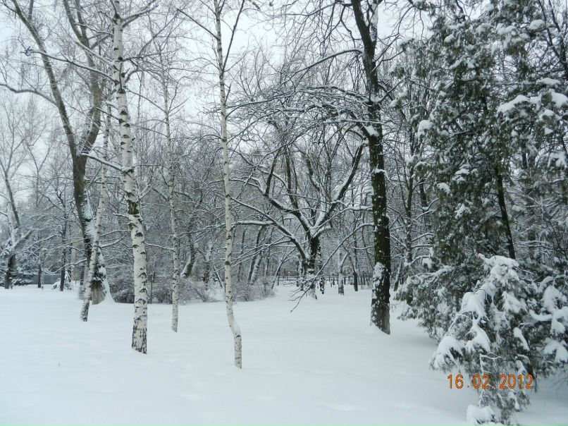 Юрий Малина | Луганск