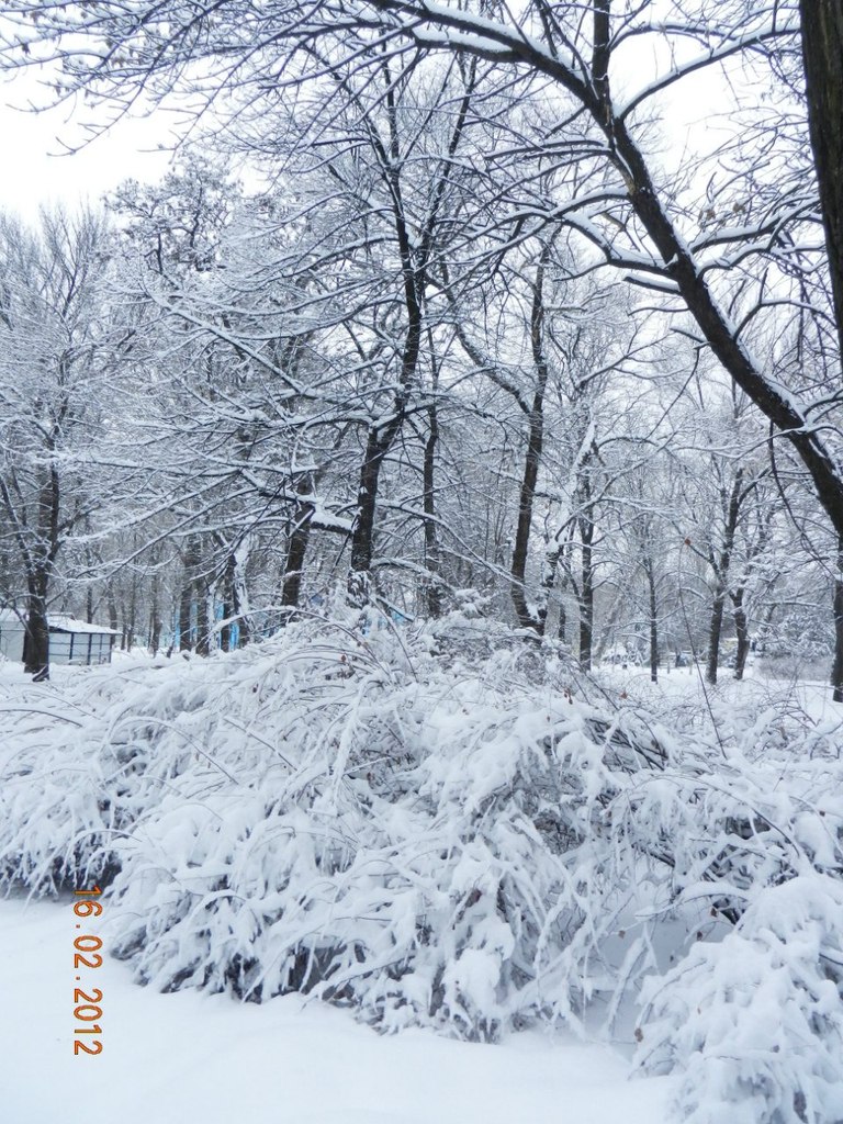Юрий Малина | Луганск