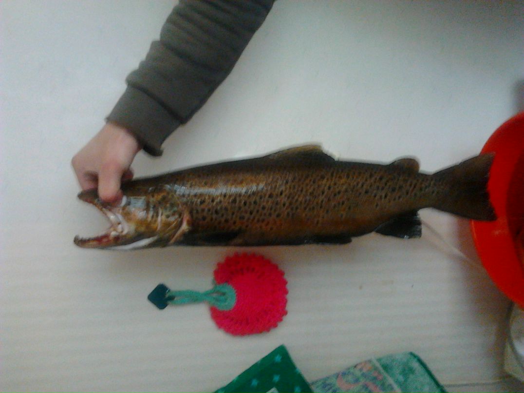 Даша Клейменова | Санкт-Петербург