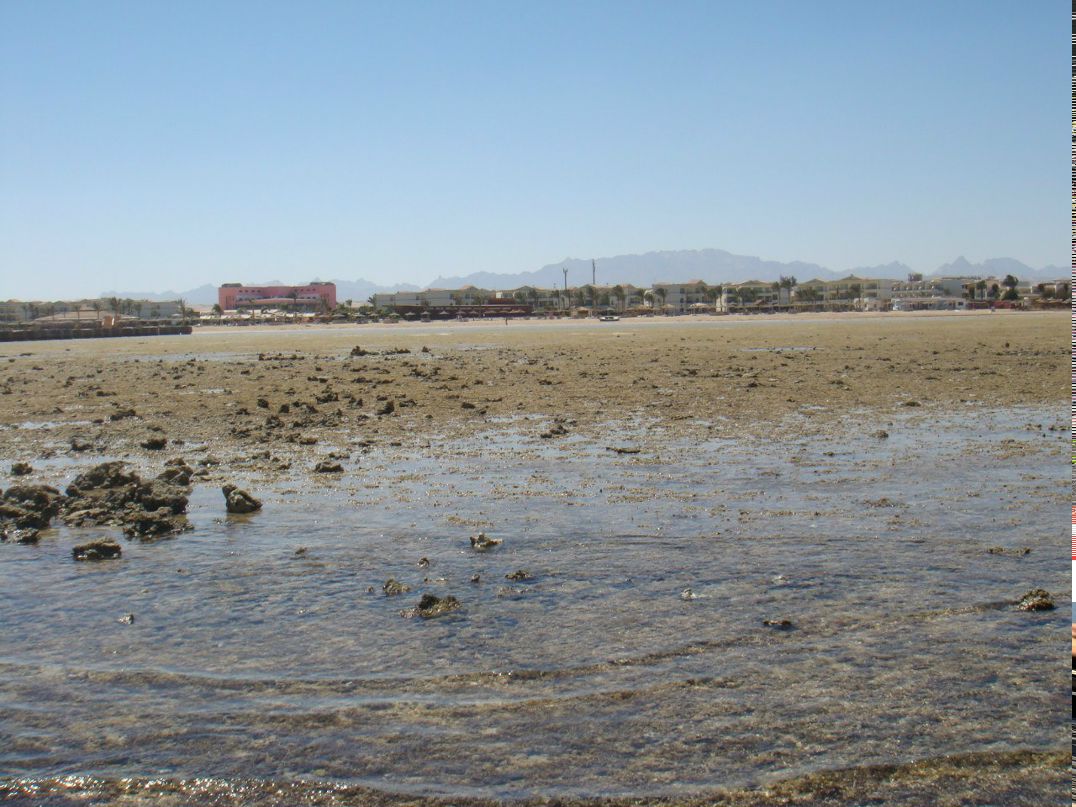 Маргарита Воеводина | Москва