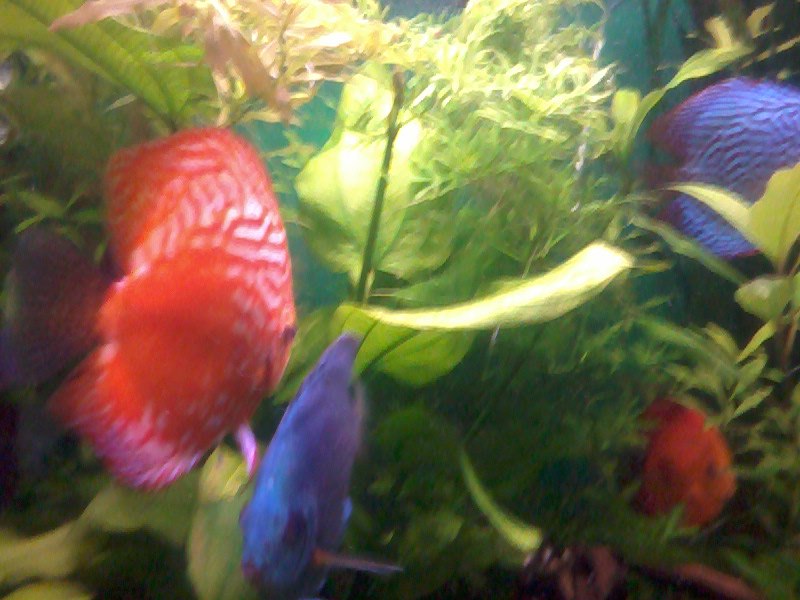 Татьяна Баранова | Санкт-Петербург