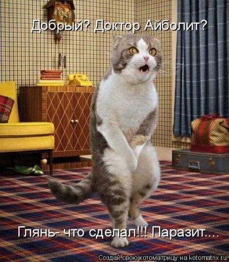 №64, Иришка Химич, 27 лет №64, Иришка Химич, 27 лет