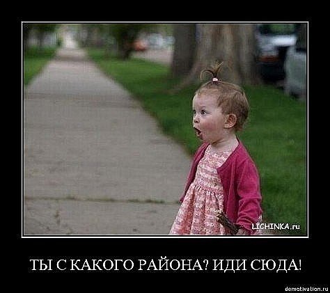 №17, Dima Petrunichev №17, Dima Petrunichev