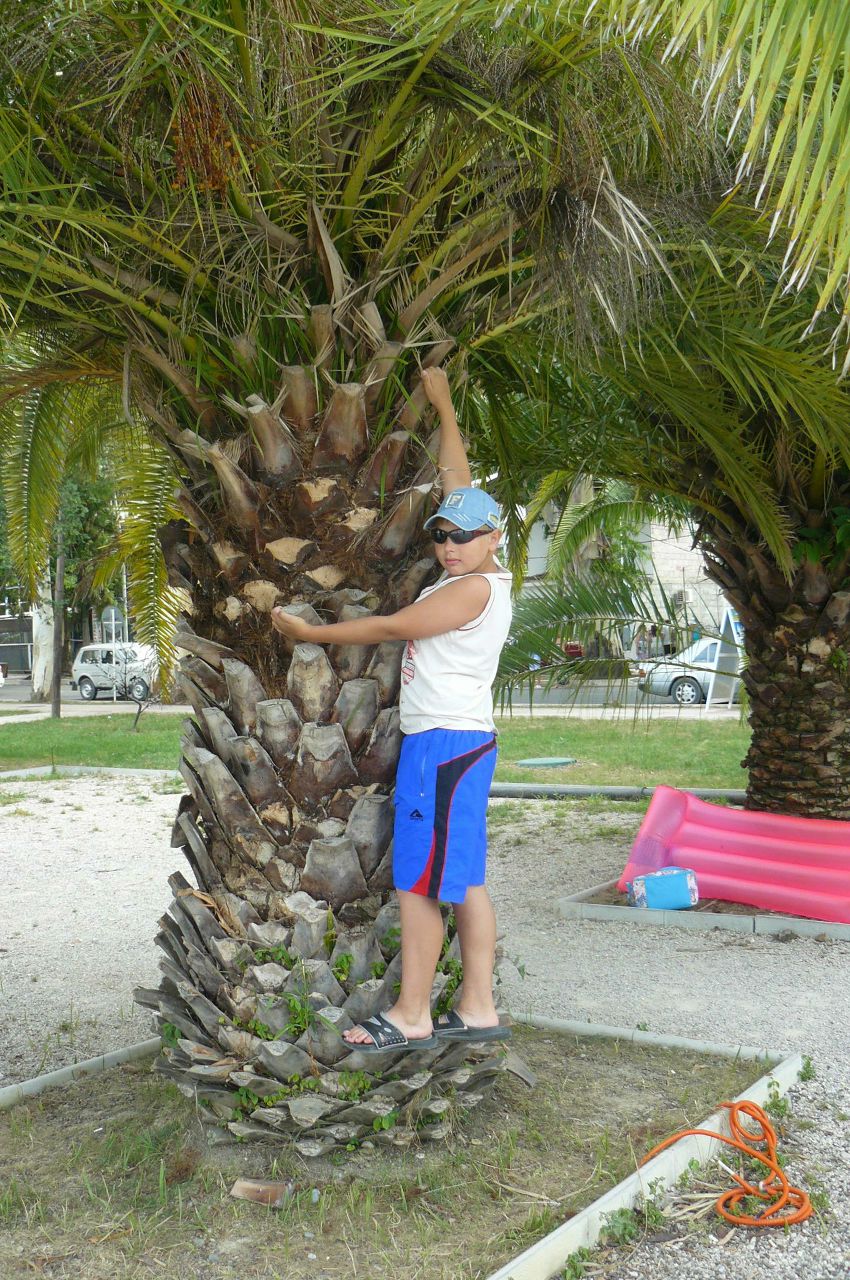 Станислав Казаков | Тула