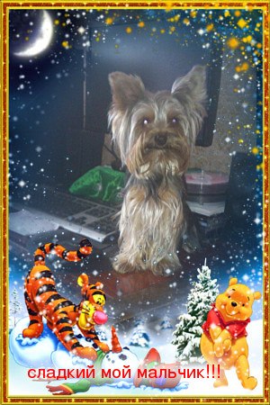 Евгения Ермачкова | Москва