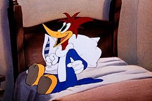 Евгения Шибаева | Орёл