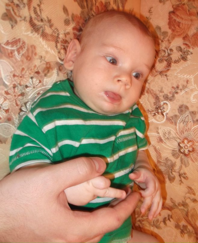 Александр Вавилов | Москва