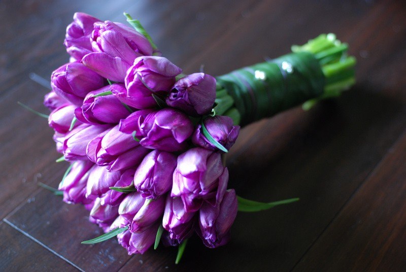 Михаил Семенов | Санкт-Петербург