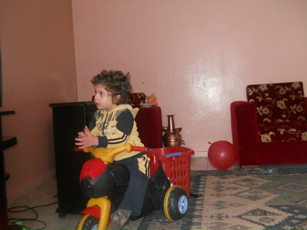 Yunus Delphin | İstanbul