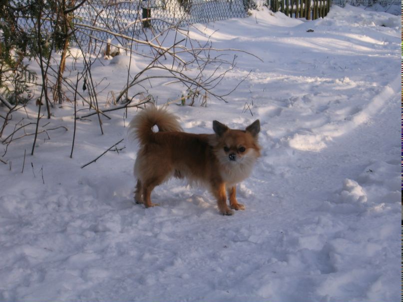 Галина Безнос | Санкт-Петербург