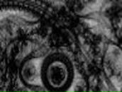 Татьяна Орлова Неfормало4k@ | Рязань