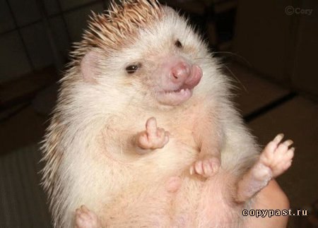 Иван Дзядук Олегович | Екатеринбург