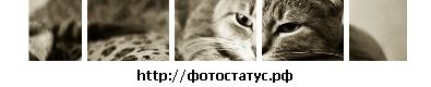 №9 Залия Галиева 04.10: профиль, фото, статус - ВКонтакте