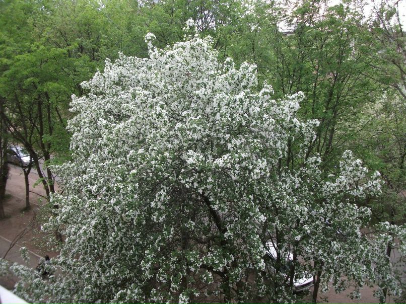 Виталий Кадочников | 