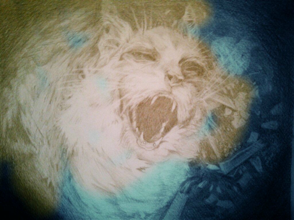 Лена Брю | Санкт-Петербург