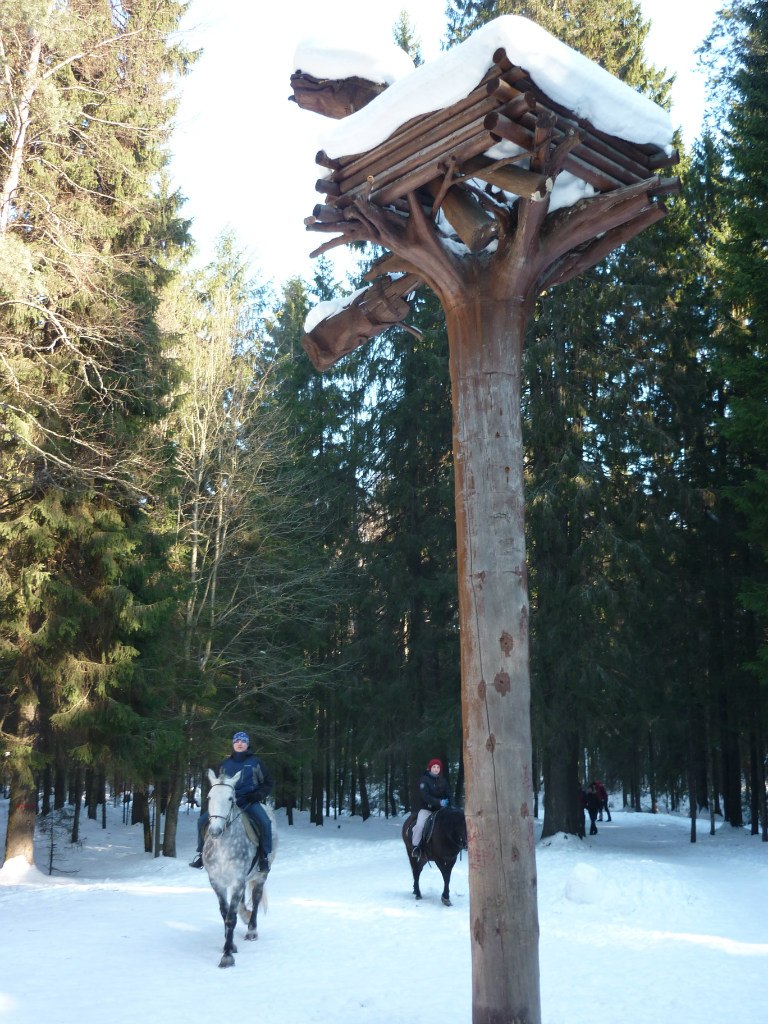 Марина Александрова | Санкт-Петербург