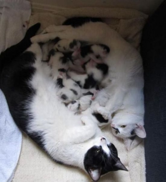 Миша Галкин | Санкт-Петербург