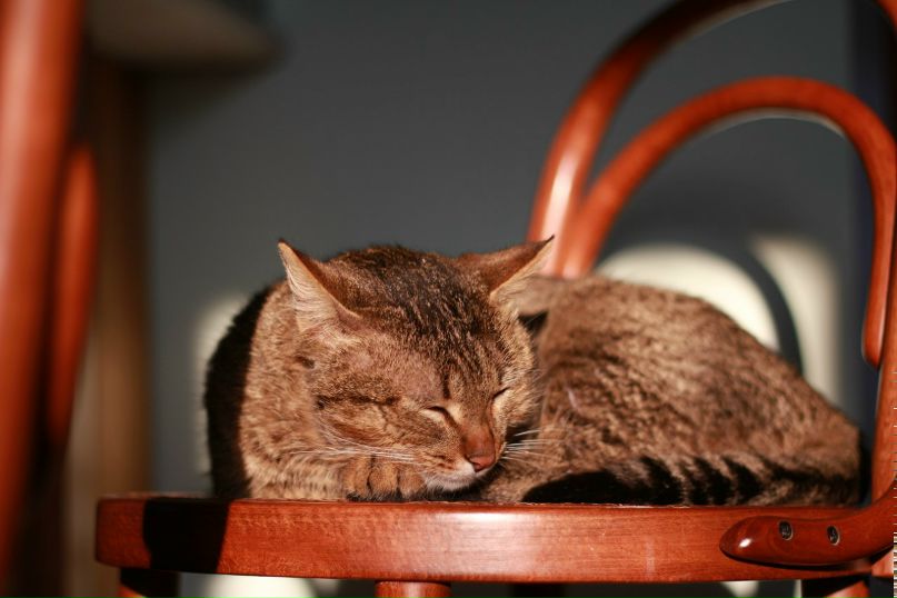 Валерий Изотов | Казань