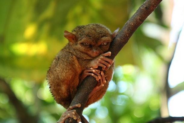 Иван Таранов | Москва