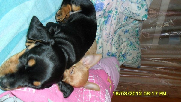 №16, Олеся Семакова, Северодвинск №16, Олеся Семакова, Северодвинск