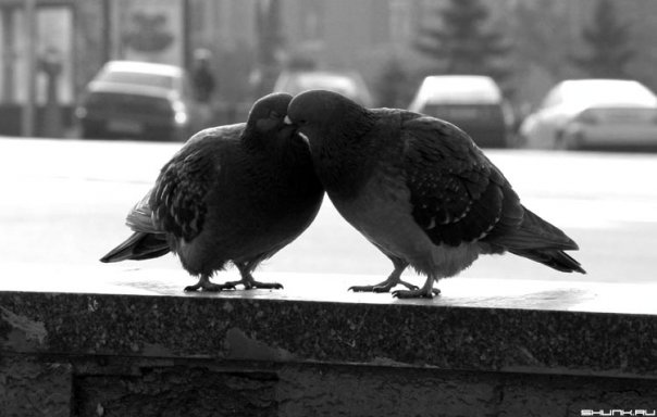 №110, Анна Глухова, 1.11.1989, Москва №110, Анна Глухова, 1.11.1989, Москва