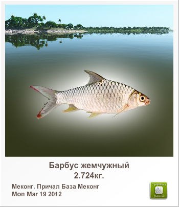 Анатолий Губарев | Краснодар