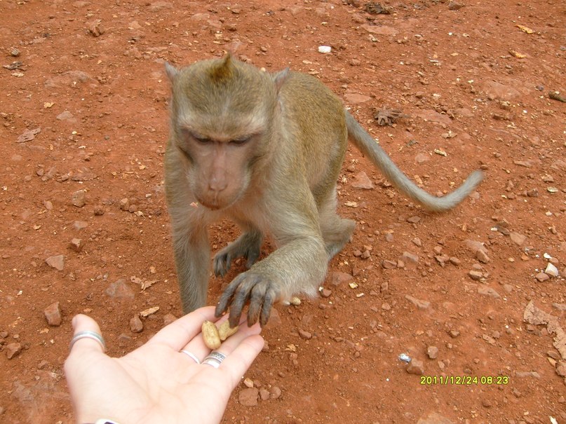 Татьяна Шугальская-Голабурда | Барановичи
