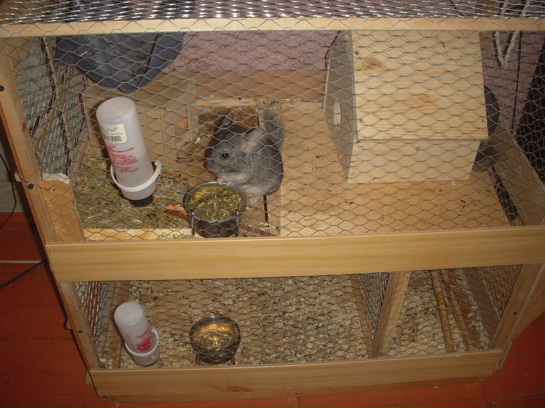 Сергей Костромской | Рыбинск