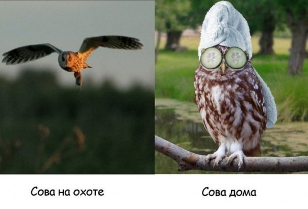 №61, Елена Сазонова, 37 лет, Москва, Россия №61, Елена Сазонова, 37 лет, Москва, Россия