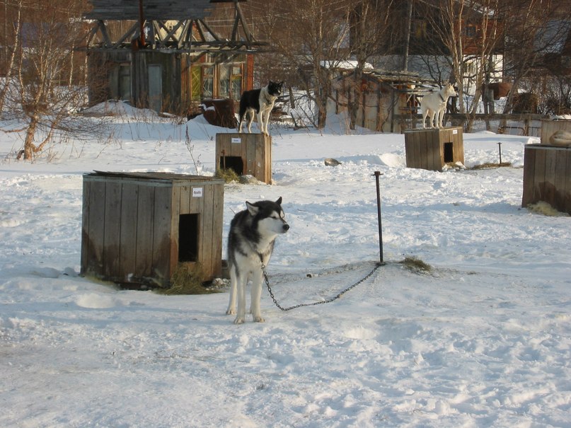 Анастасия Трофимова | Петропавловск-Камчатский