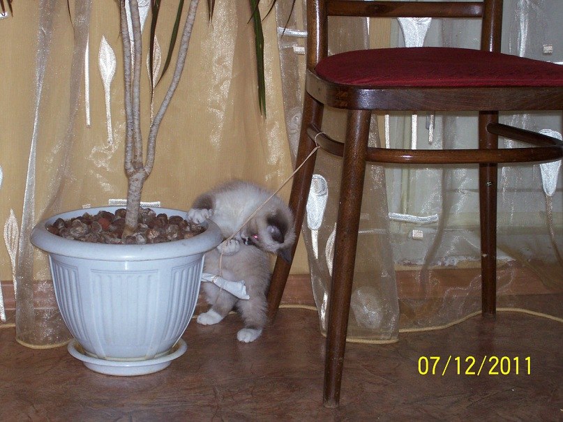 Галина Илларионова | Нижний Новгород