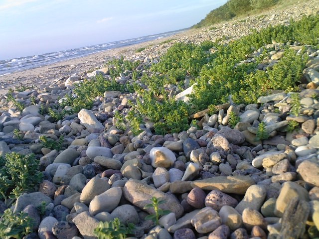 Serz Serzz | Таллин