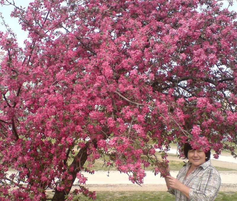 Ольга Канчура | Минск