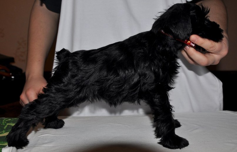 Радж Попов | Ижевск