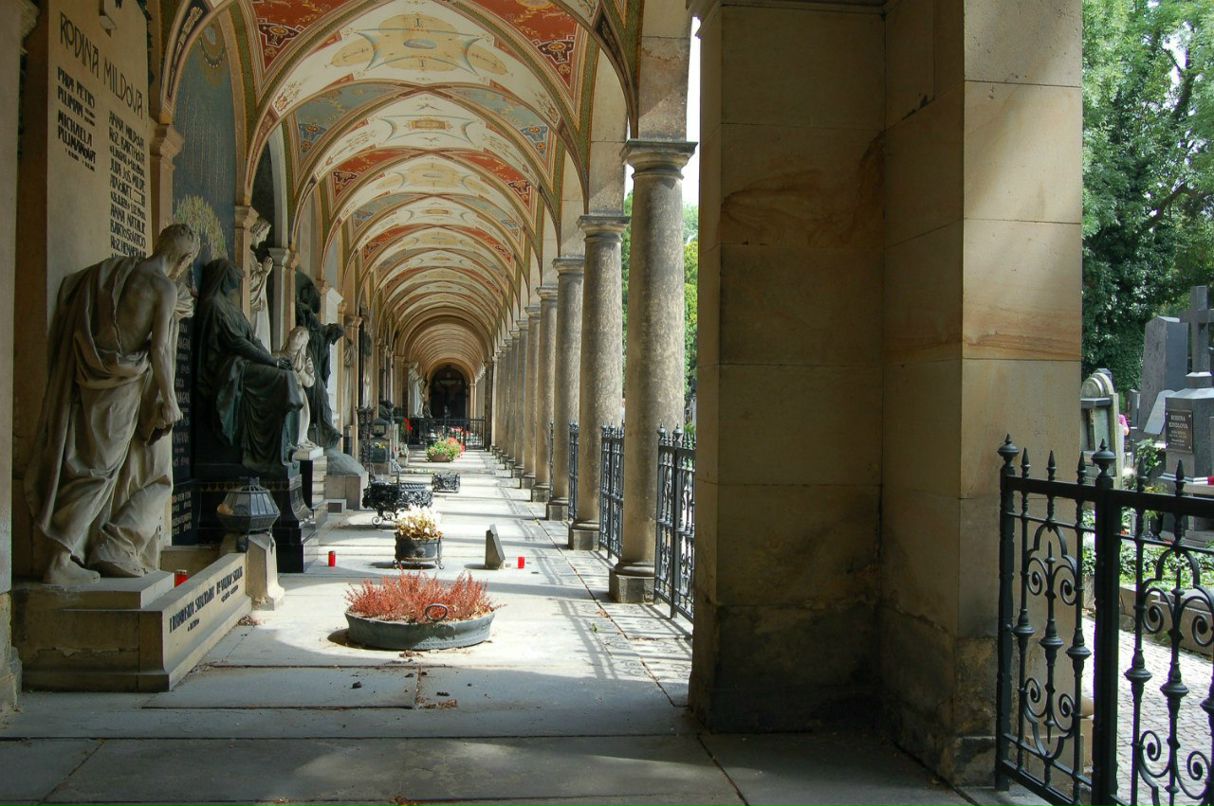 Sergei Senkin | Санкт-Петербург