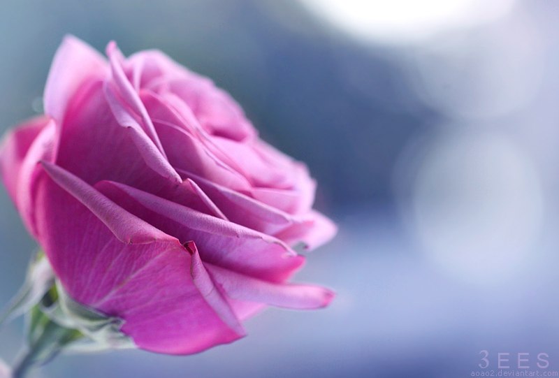 Екатерина Чернышова | Москва