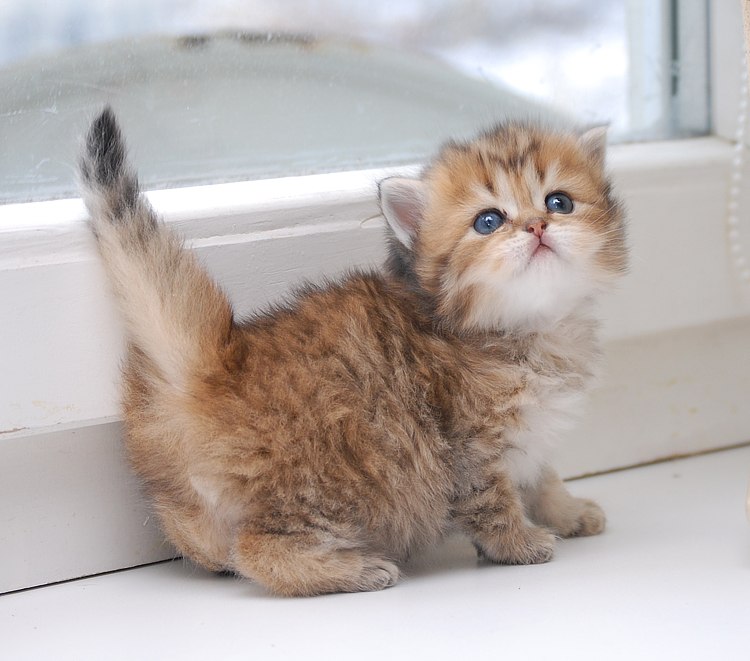 Бастинда Колдунова | Москва