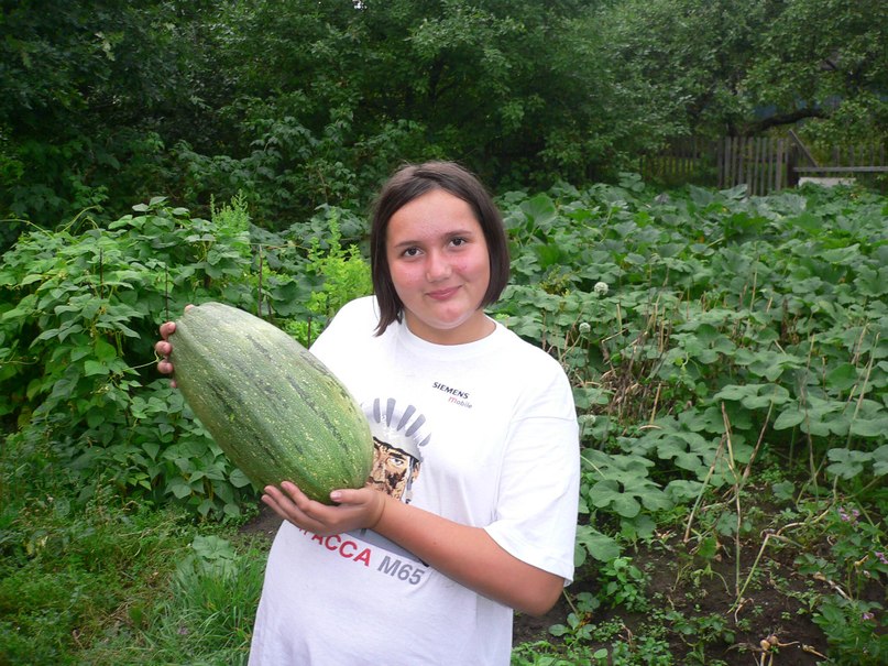 Андрей Серёгин | Санкт-Петербург