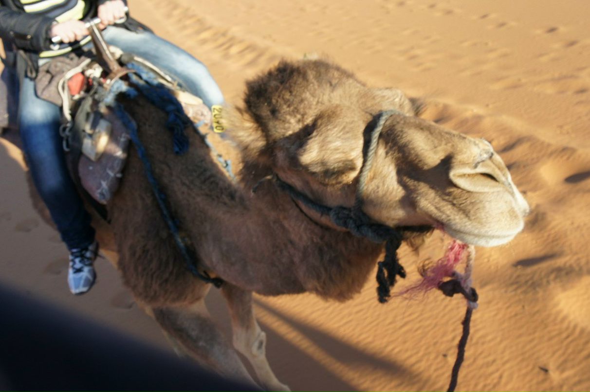 Елена Куценко | Berlin