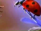 Дарья Беркутова | 