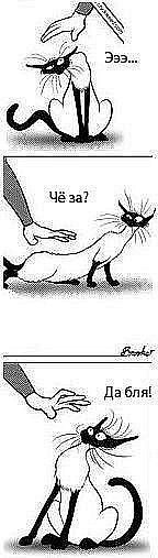 Аня Федоркова | Москва