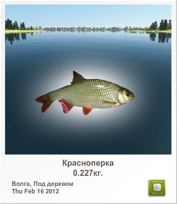 Kardan *** | Новополоцк