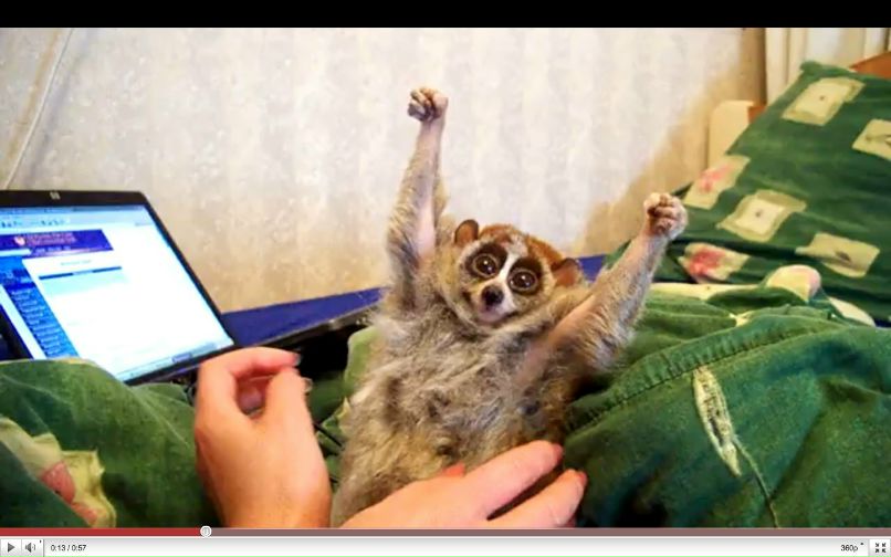 Руслан Сундеев | Черногорск