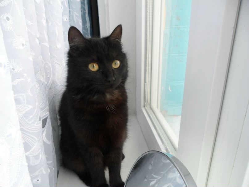 Евгения Павленко | Житомир