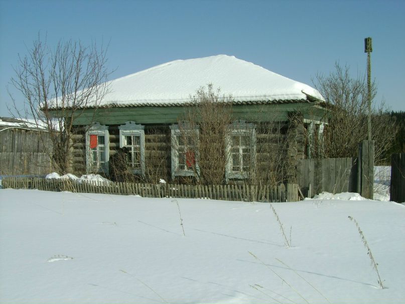 Николай Цибин | Красноярск
