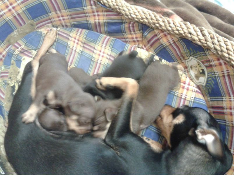 №120, Яна Усманова, 33 года, Стерлитамак №120, Яна Усманова, 33 года, Стерлитамак