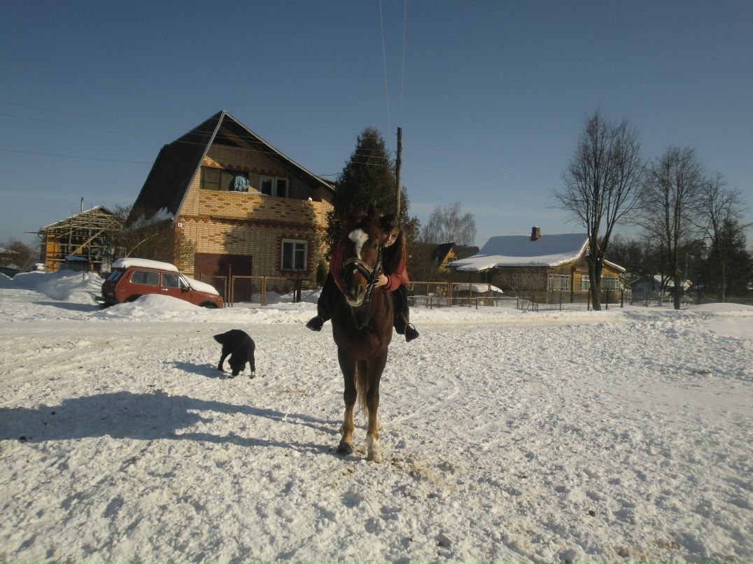 Галчёнок Лисина | Москва